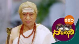 Nandini S01E950 22nd June 2020 Full Episode