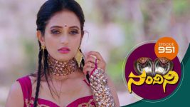 Nandini S01E951 22nd June 2020 Full Episode