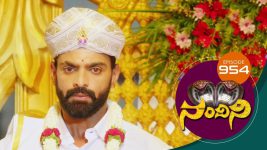 Nandini S01E954 29th June 2020 Full Episode