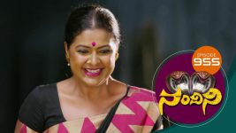 Nandini S01E955 29th June 2020 Full Episode