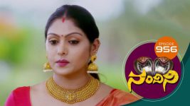 Nandini S01E956 29th June 2020 Full Episode