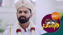 Nandini S01E957 29th June 2020 Full Episode