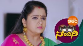 Nandini S01E960 6th July 2020 Full Episode