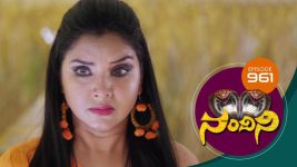 Nandini S01E961 6th July 2020 Full Episode