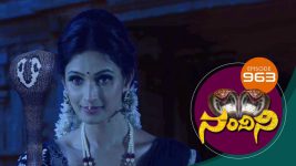 Nandini S01E963 13th July 2020 Full Episode