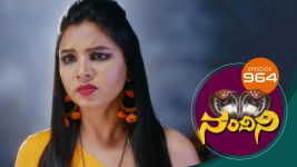 Nandini S01E964 13th July 2020 Full Episode