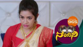 Nandini S01E965 13th July 2020 Full Episode