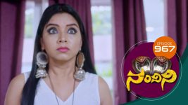 Nandini S01E967 13th July 2020 Full Episode