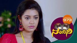 Nandini S01E971 31st July 2020 Full Episode