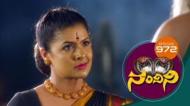 Nandini S01E972 20th July 2020 Full Episode