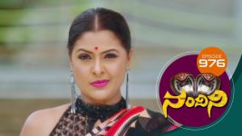 Nandini S01E976 27th July 2020 Full Episode