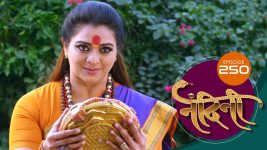 Nandini (sun Marathi) S01 E250 14th July 2022