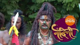 Nandini (sun Marathi) S01 E265 29th July 2022