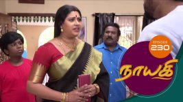 Nayagi S01E230 17th November 2018 Full Episode