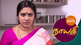 Nayagi S01E324 14th March 2019 Full Episode