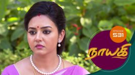 Nayagi S01E620 13th November 2019 Full Episode