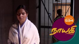 Nayagi S01E623 16th November 2019 Full Episode