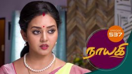 Nayagi S01E626 20th November 2019 Full Episode