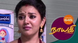 Nayagi S01E645 1st April 2020 Full Episode