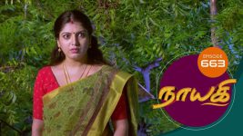 Nayagi S01E663 17th August 2020 Full Episode