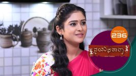 Nayanatara (kannada) S01 E236 20th November 2021