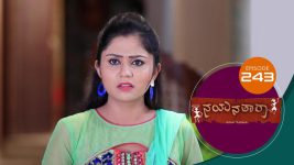 Nayanatara (kannada) S01 E243 29th November 2021