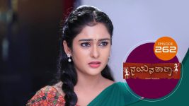 Nayanatara (kannada) S01 E262 21st December 2021