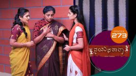 Nayanatara (kannada) S01 E273 3rd January 2022