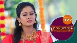 Nayanatara (kannada) S01 E377 5th May 2022