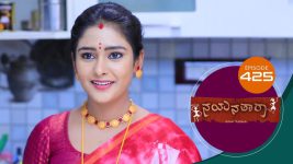 Nayanatara (kannada) S01 E425 30th June 2022