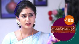 Nayanatara (kannada) S01 E463 13th August 2022