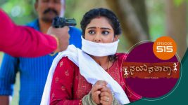 Nayanatara (kannada) S01 E515 13th October 2022