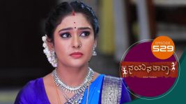 Nayanatara (kannada) S01 E529 29th October 2022