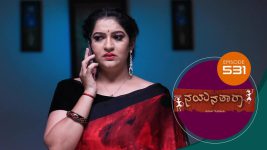 Nayanatara (kannada) S01 E531 1st November 2022