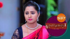 Nayanatara (kannada) S01 E537 8th November 2022