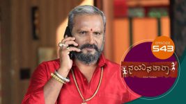 Nayanatara (kannada) S01 E543 15th November 2022