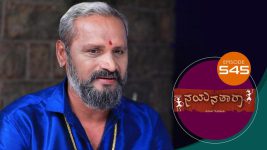 Nayanatara (kannada) S01 E545 17th November 2022