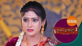 Nayanatara (kannada) S01 E559 3rd December 2022