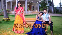 Nayanatara (kannada) S01 E561 6th December 2022