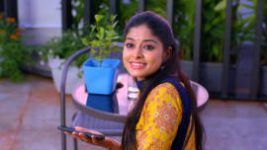 Neethane Enthan Ponvasantham S01E136 18th November 2020 Full Episode