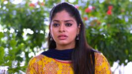 Neethane Enthan Ponvasantham S01E137 19th November 2020 Full Episode