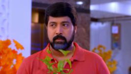 Neethane Enthan Ponvasantham S01E142 24th November 2020 Full Episode