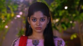 Neethane Enthan Ponvasantham S01E177 29th December 2020 Full Episode