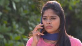 Neethane Enthan Ponvasantham S01E219 12th February 2021 Full Episode