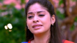 Neethane Enthan Ponvasantham S01E36 10th August 2020 Full Episode