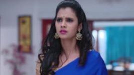 Ninne Pelladatha S01E162 29th January 2019 Full Episode