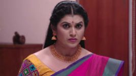 Ninne Pelladatha S01E164 31st January 2019 Full Episode