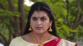 Ninne Pelladatha S01E172 9th February 2019 Full Episode