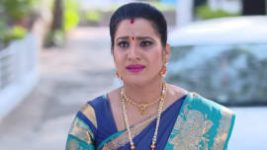 Ninne Pelladatha S01E176 14th February 2019 Full Episode