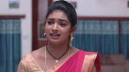 Ninne Pelladatha S01E178 16th February 2019 Full Episode